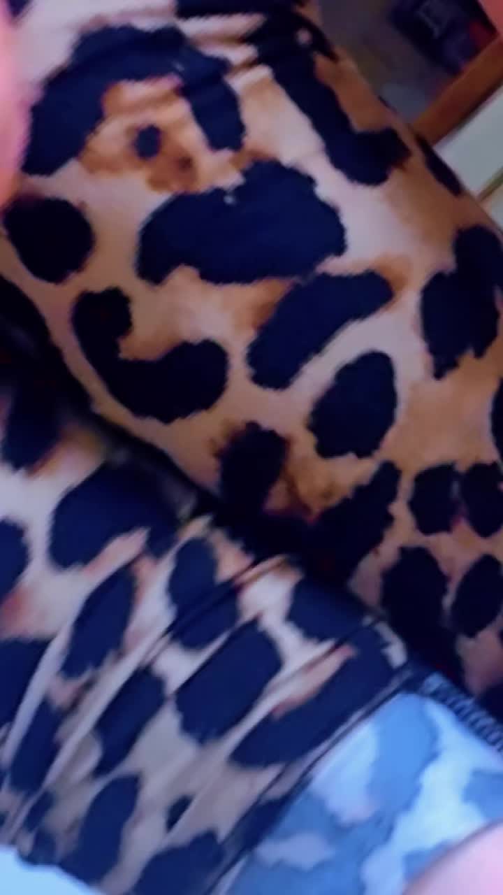 @stefania