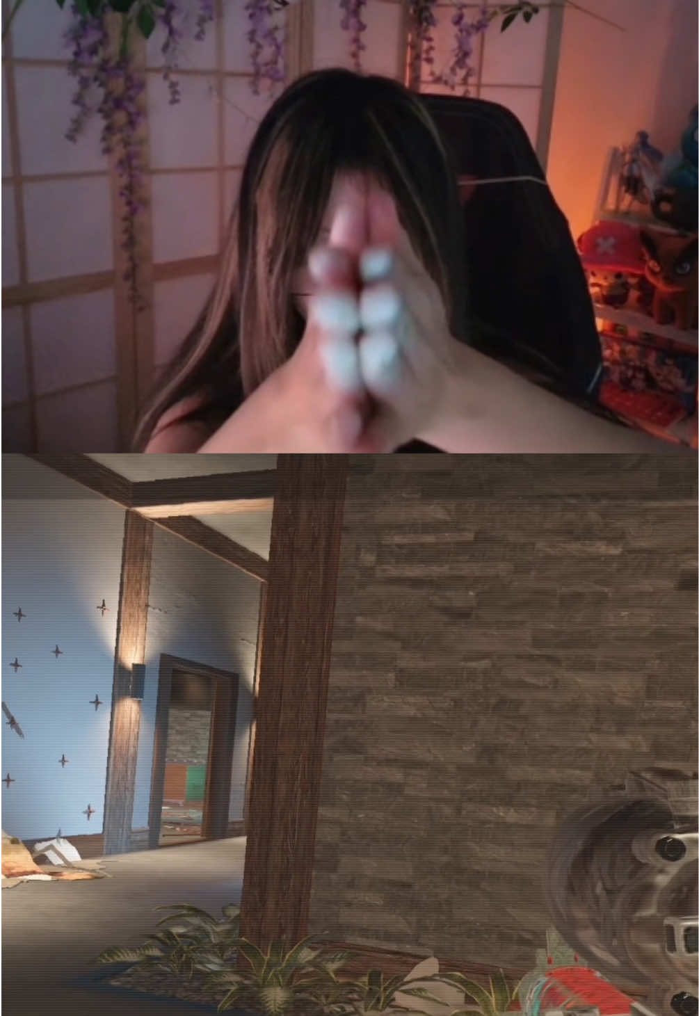@pxppy