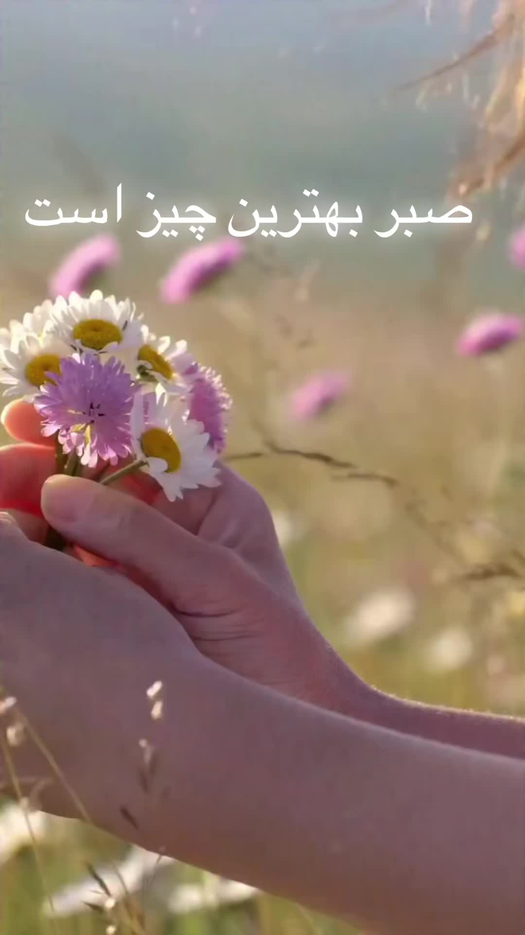@✨✨✨ستاره سادات ✨✨✨