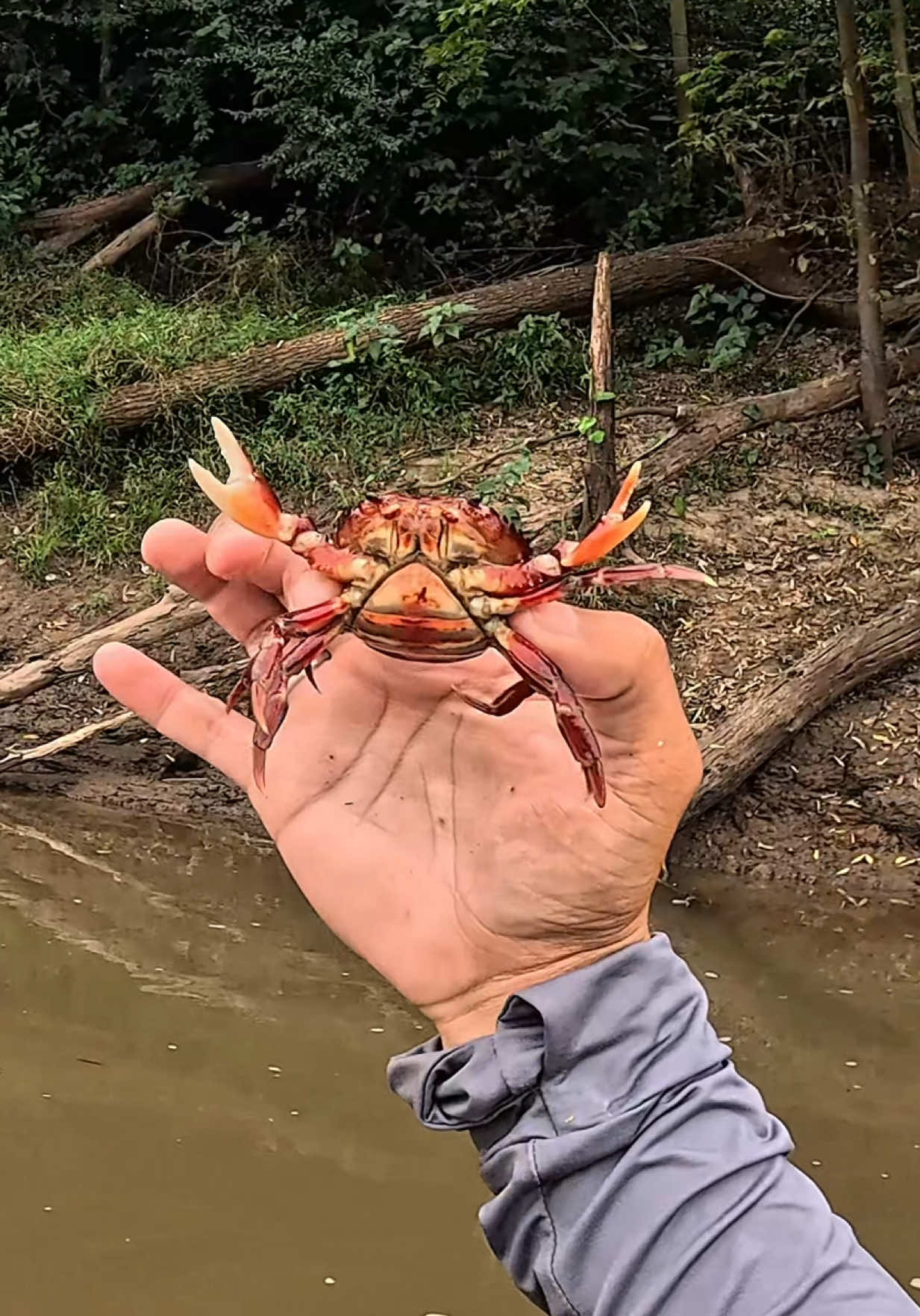 @Magrão Pesca
