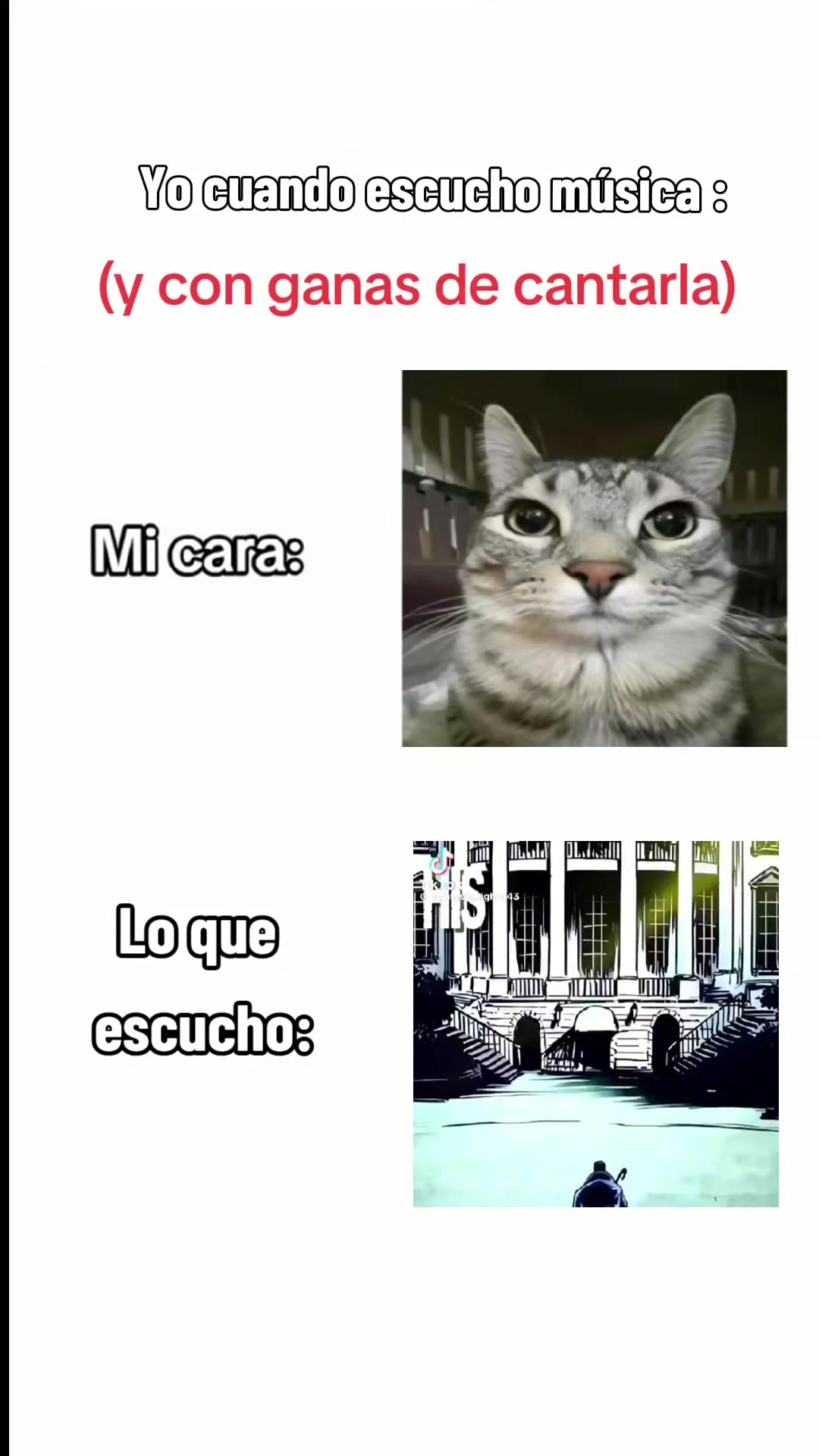 @El papu misterioso 456