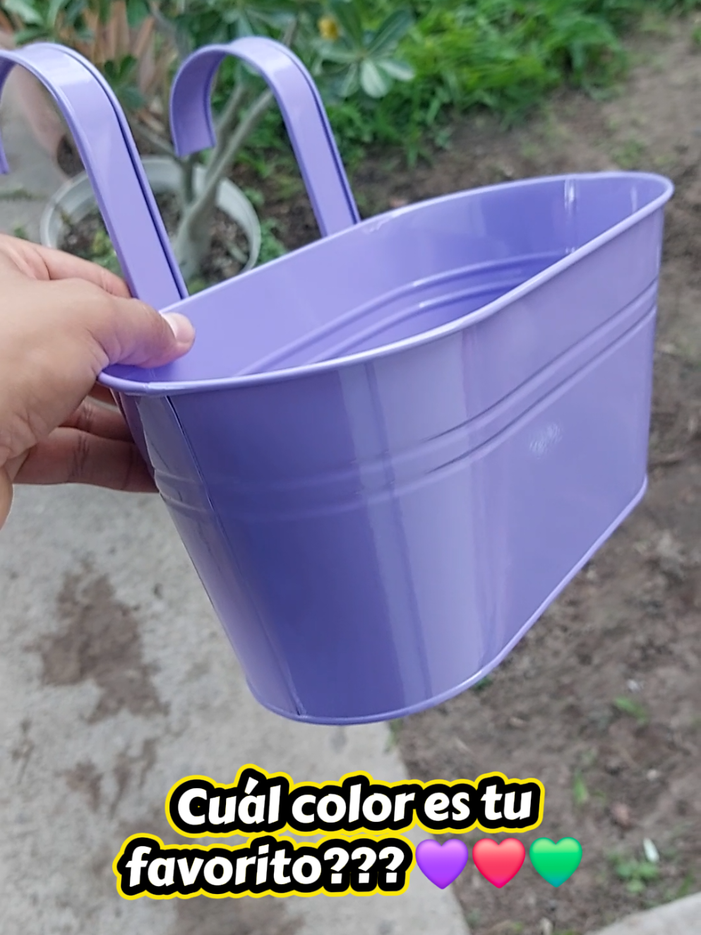 @Encanto Suculento