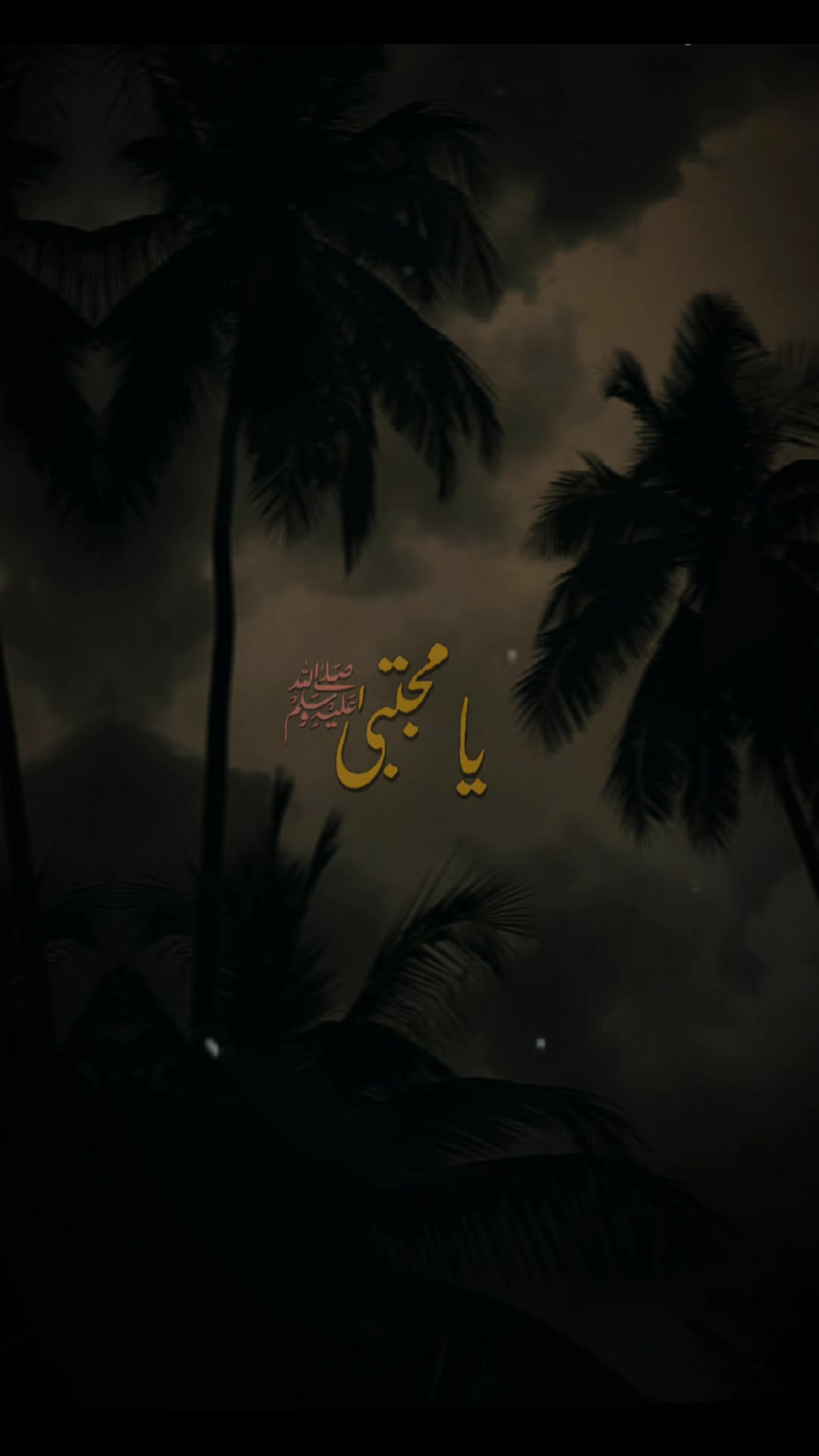 @SufiVibes UK🇬🇧🇵🇰