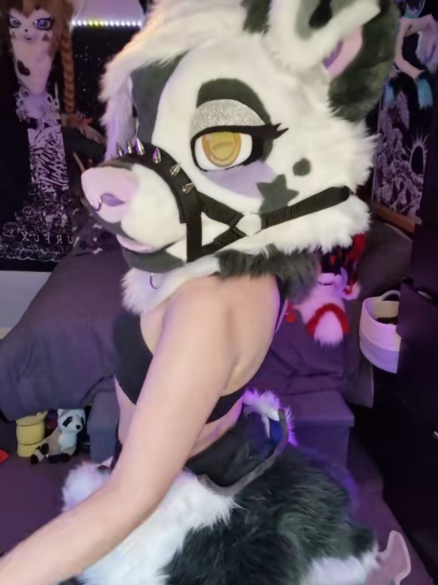 @Bailey (lilpixiekitten)