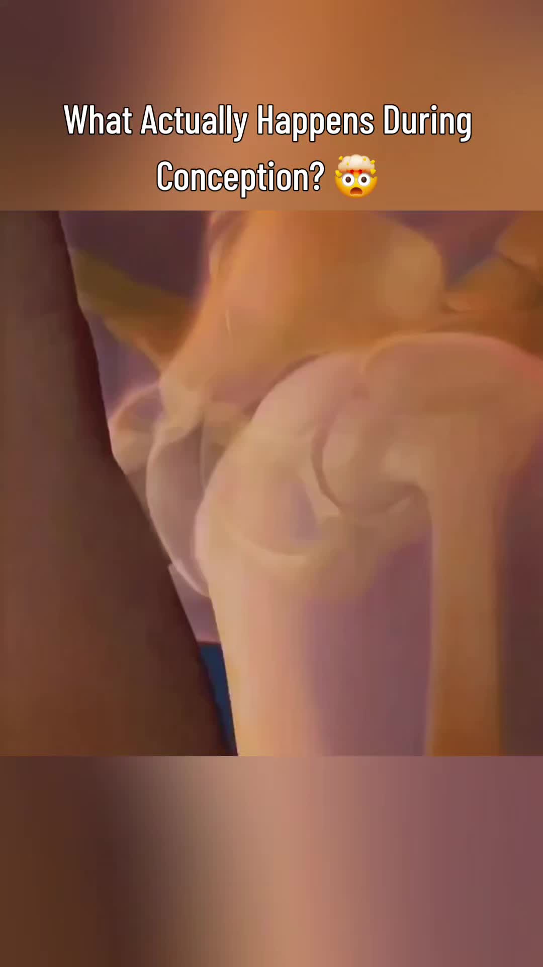 @femniverse 3