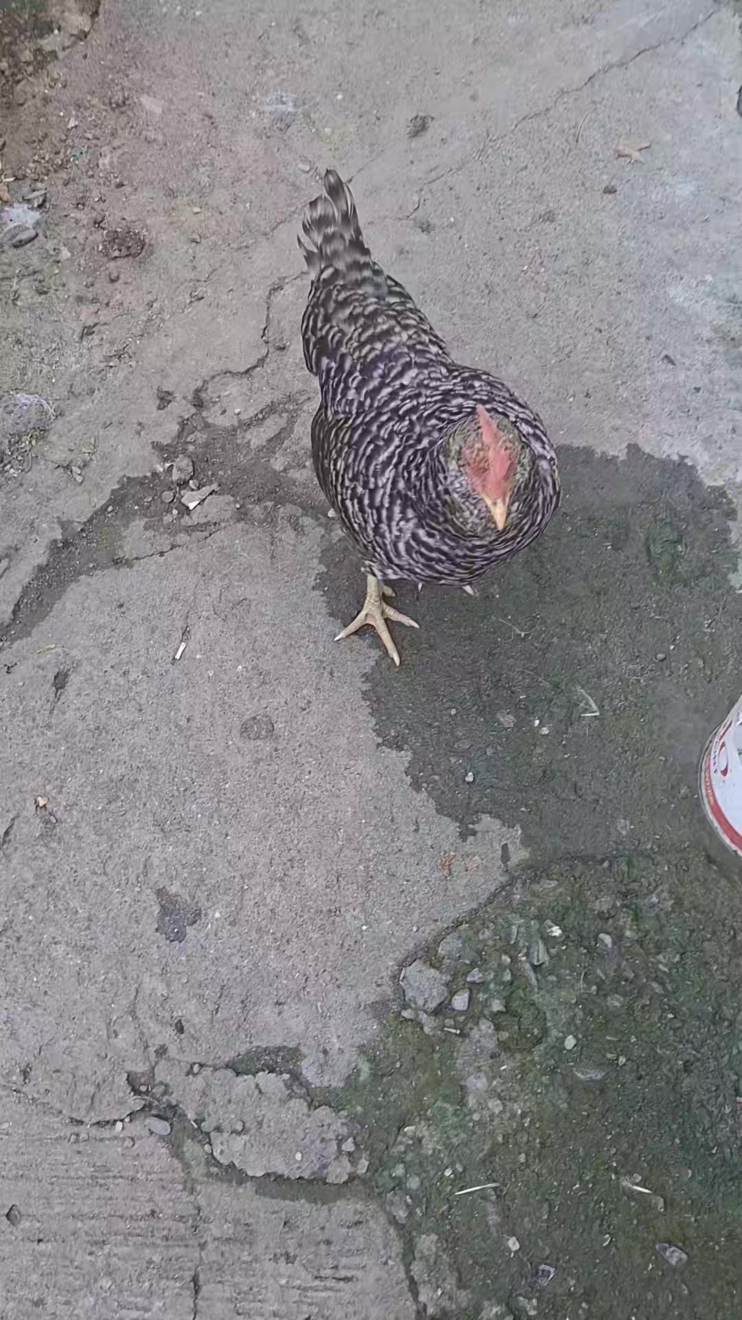 @😾MALDITA AKO😾