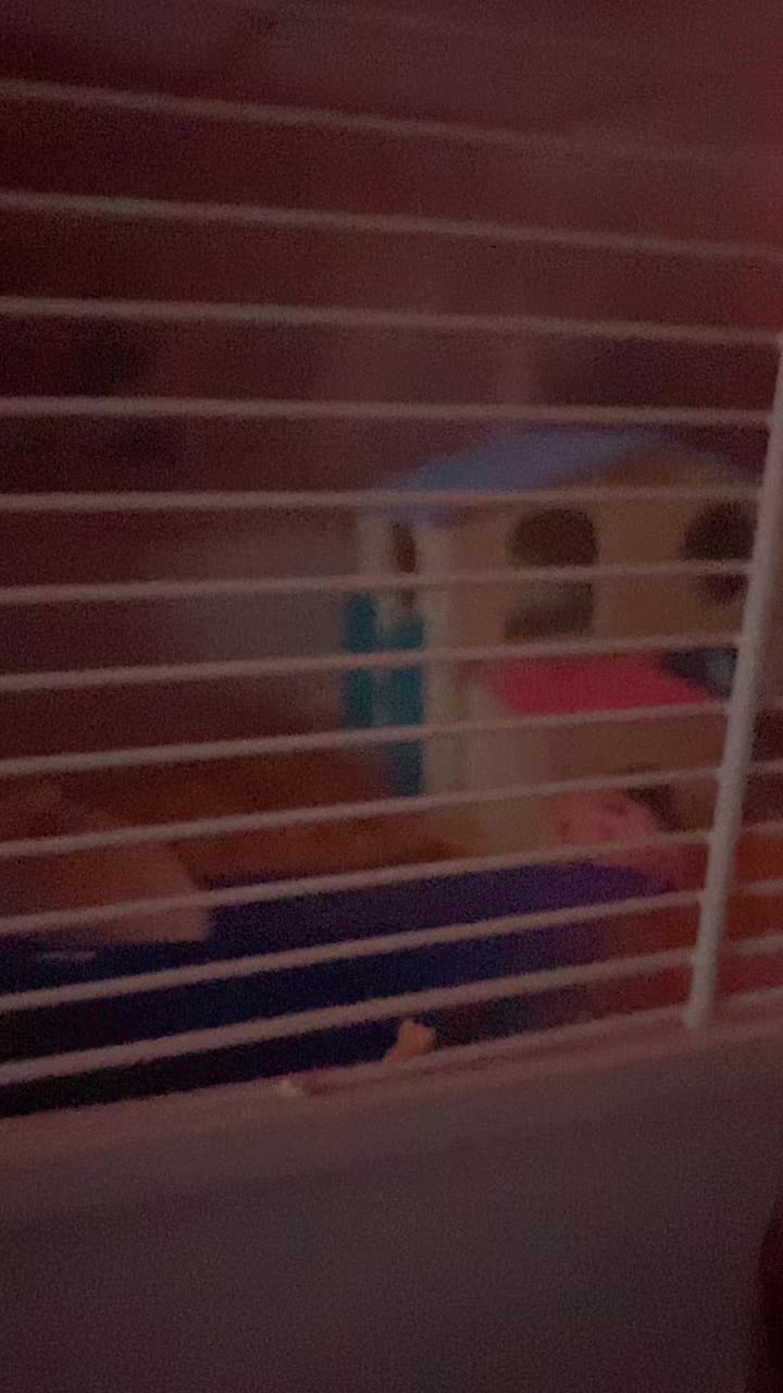 @ChloeDalziel