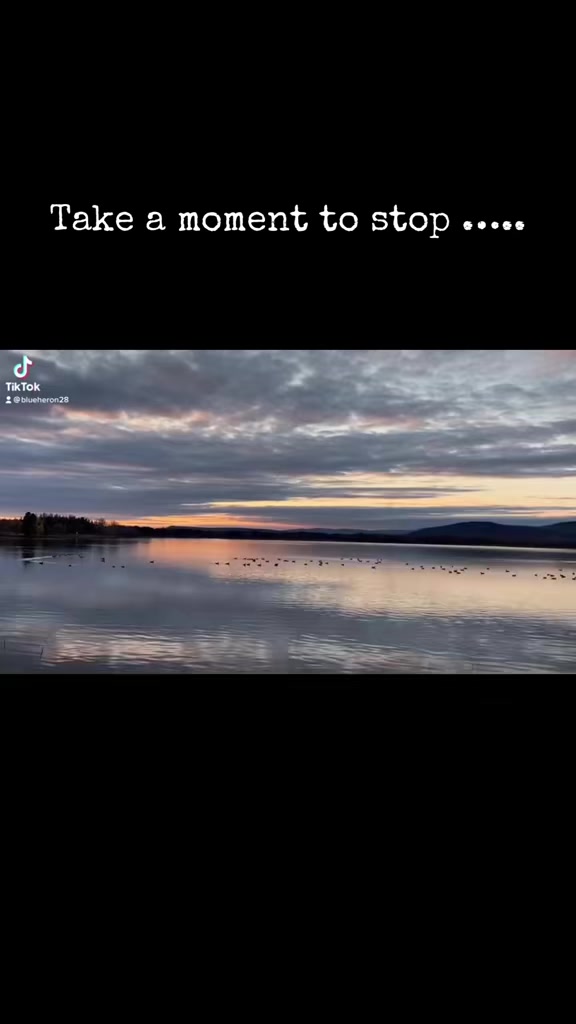 @Blue Heron