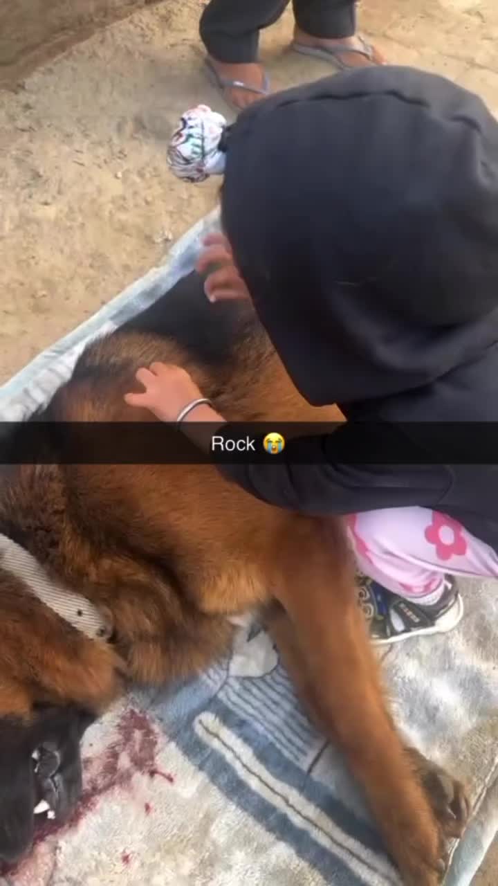 @scar.075