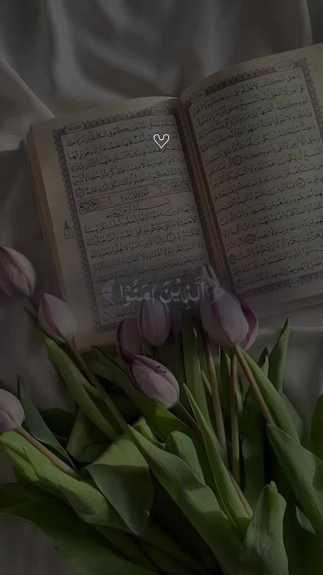 @QuranLight🌕