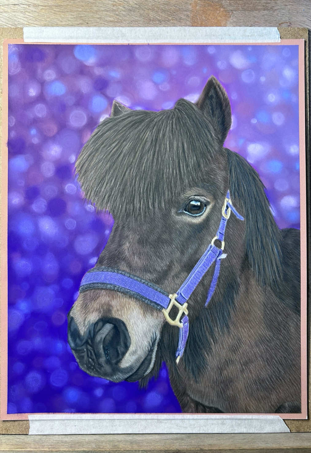 @Pet portraits