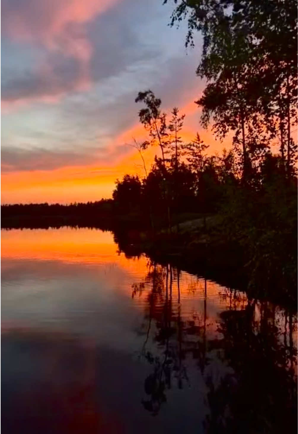 @Ansku 🇫🇮