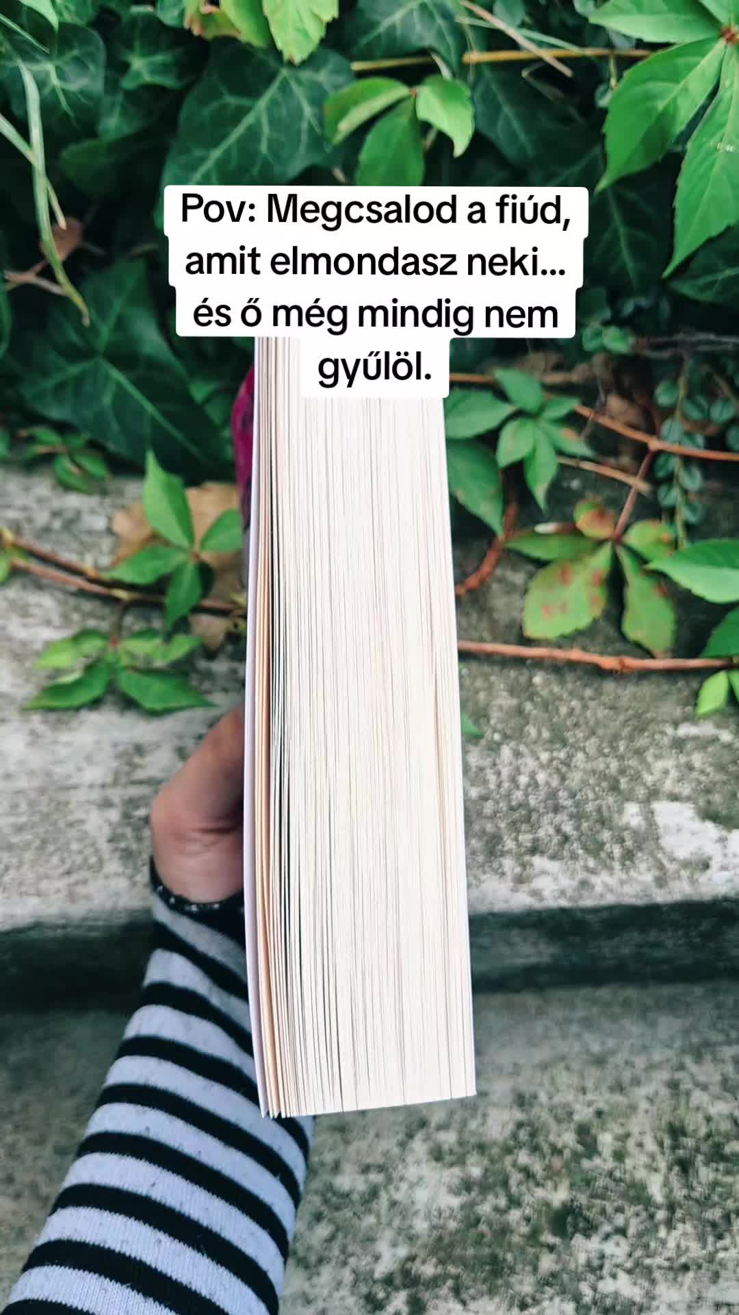 @Mezőföldi Pitypang író✍️
