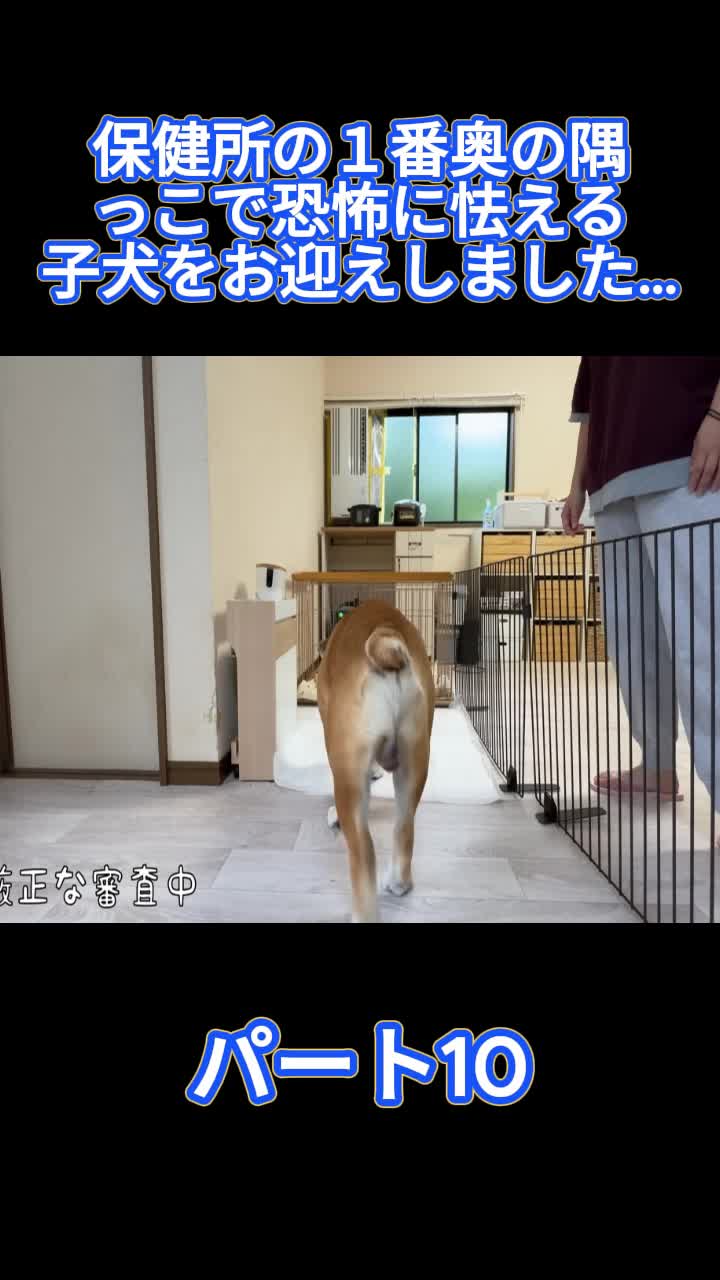 @ブルドッグぶるまるチャンネル Fan