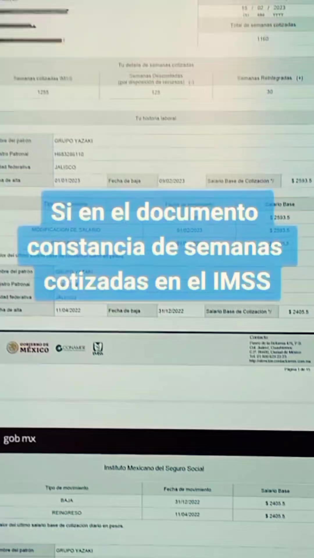 @CESAR SALDIVAR ASESOR