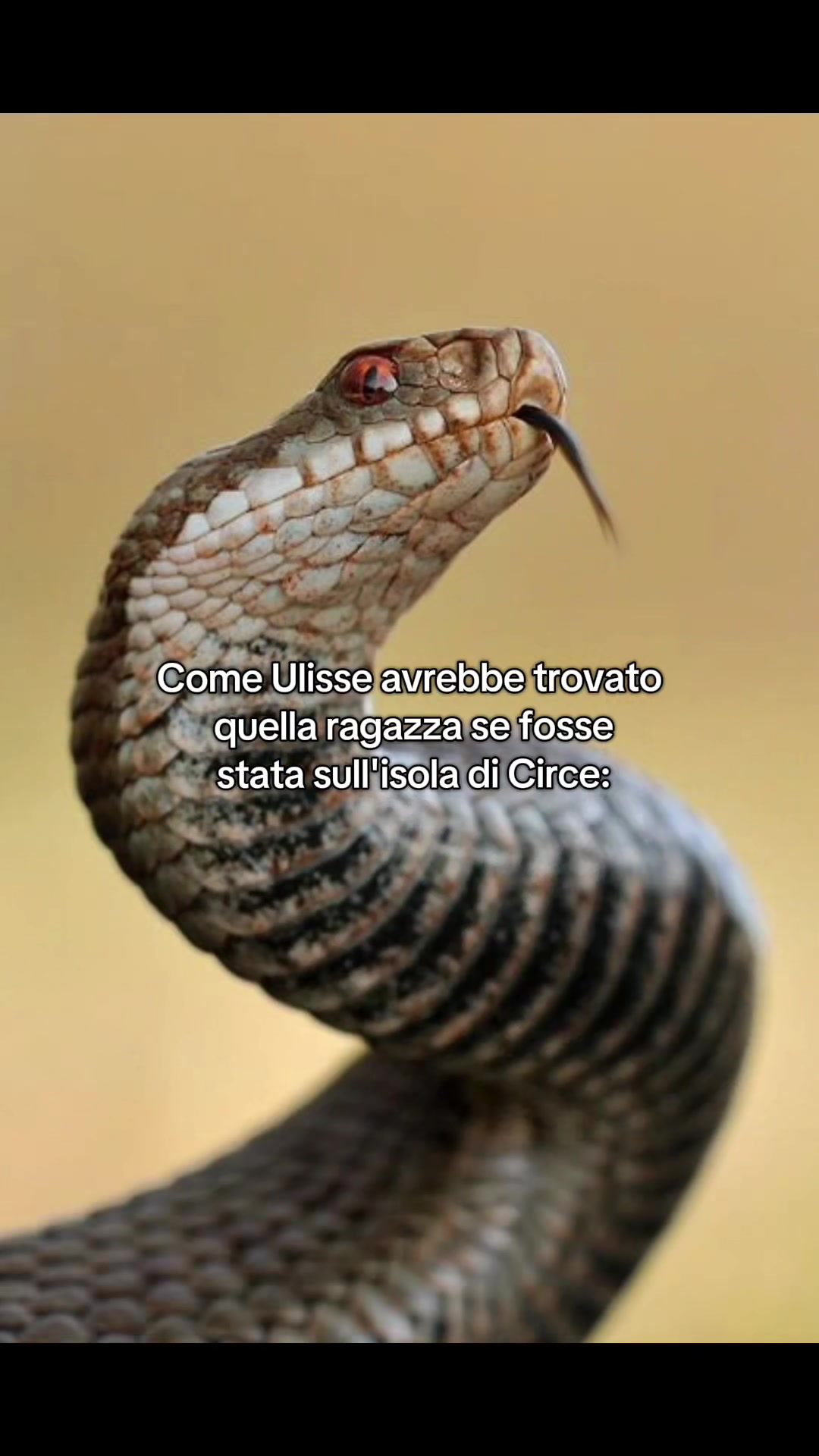 @Francio