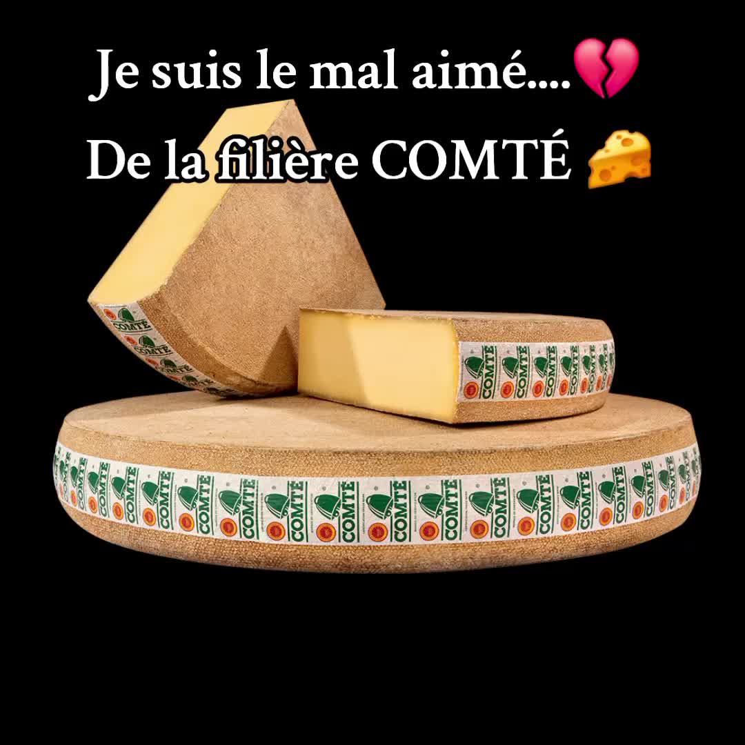 @rivi&egrave;res comtoises &agrave; l'agonie