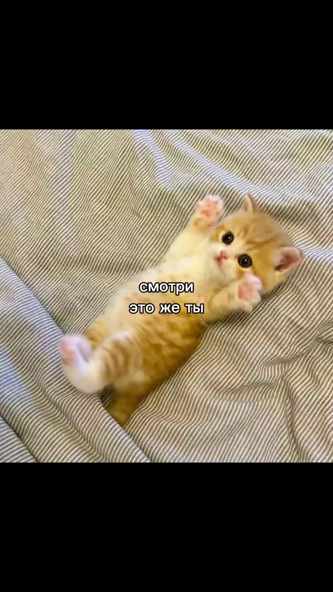 @dwee