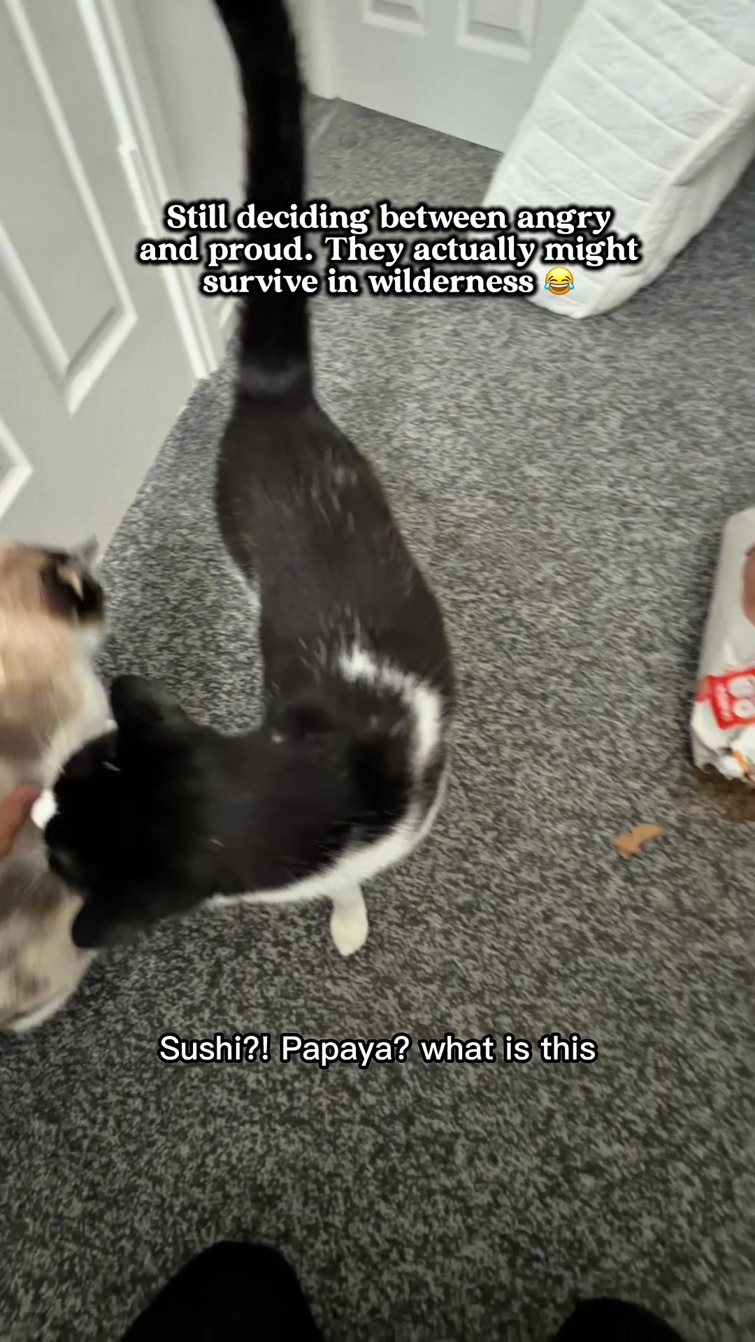 @slavic_cat_mum