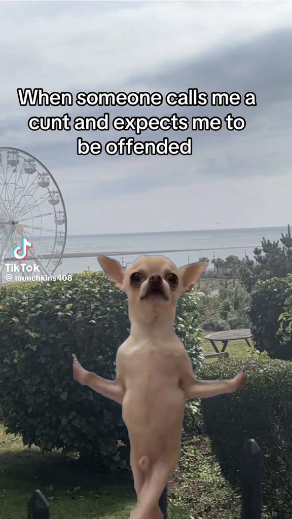 @🧙♀️👻Winnie_The_Witch👻🧙♀️