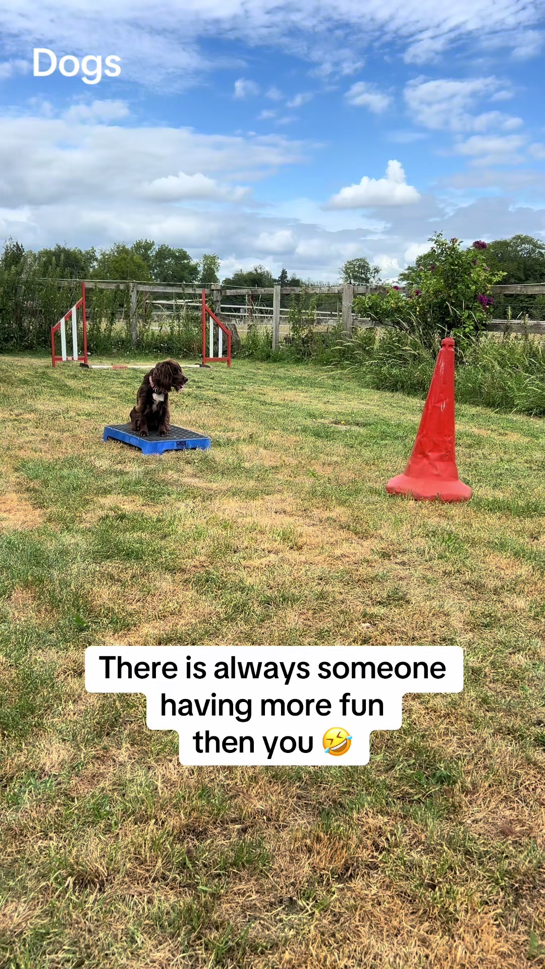 @Pipstar 🐕🦺