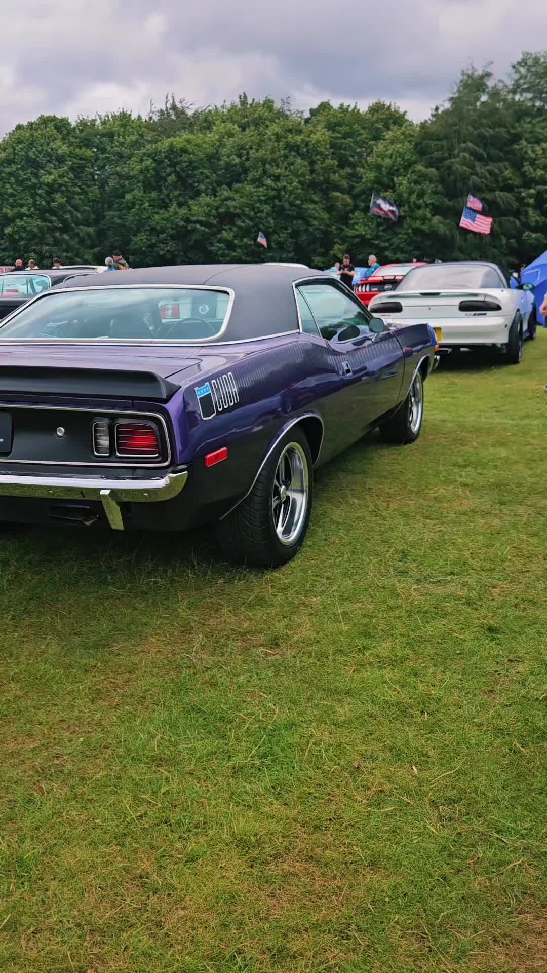 @MustangMack