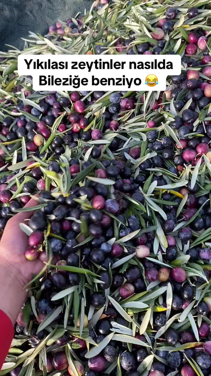 @kader_okdemir.mlk