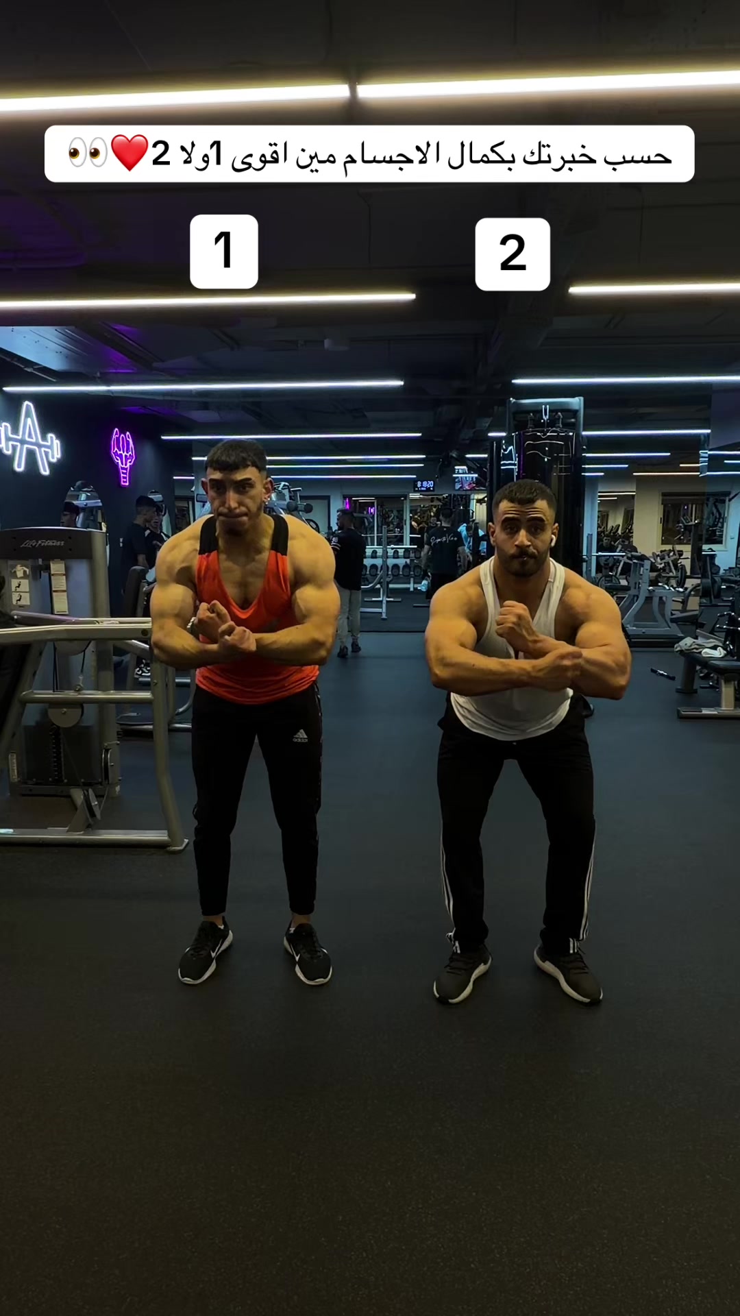 @ameer._.ma1