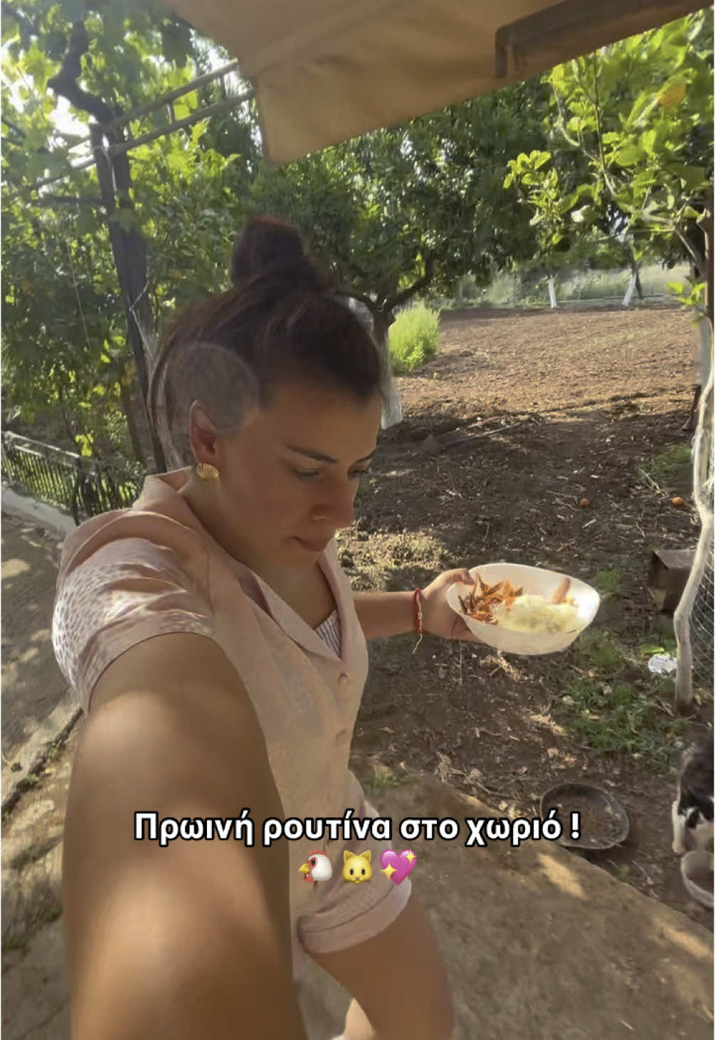 @jo.dimou
