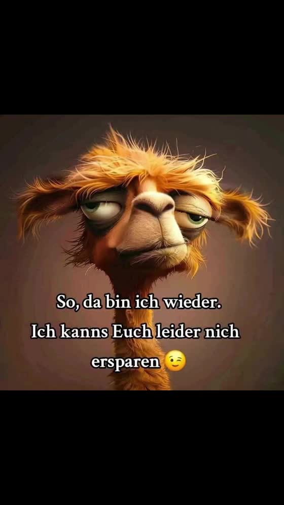 @Moni