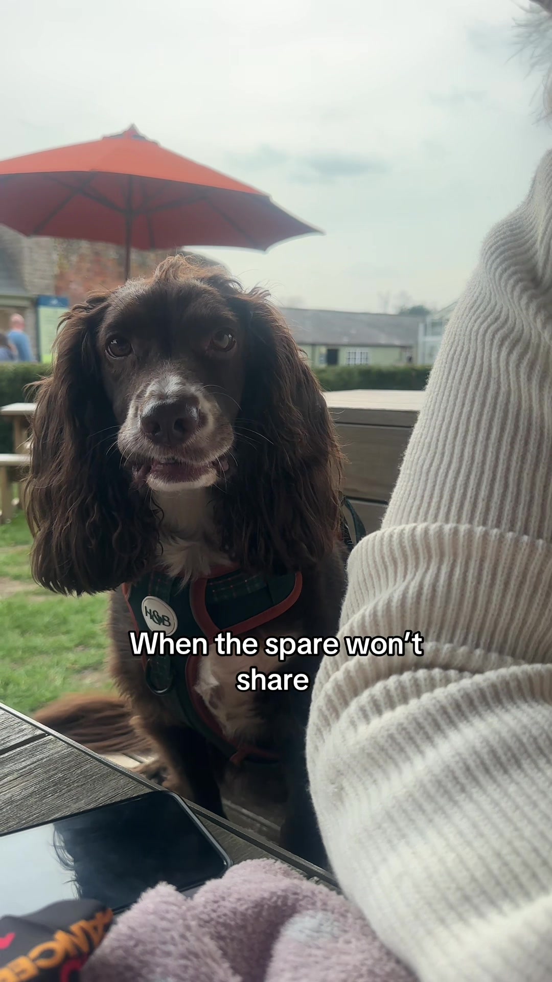 @Woody