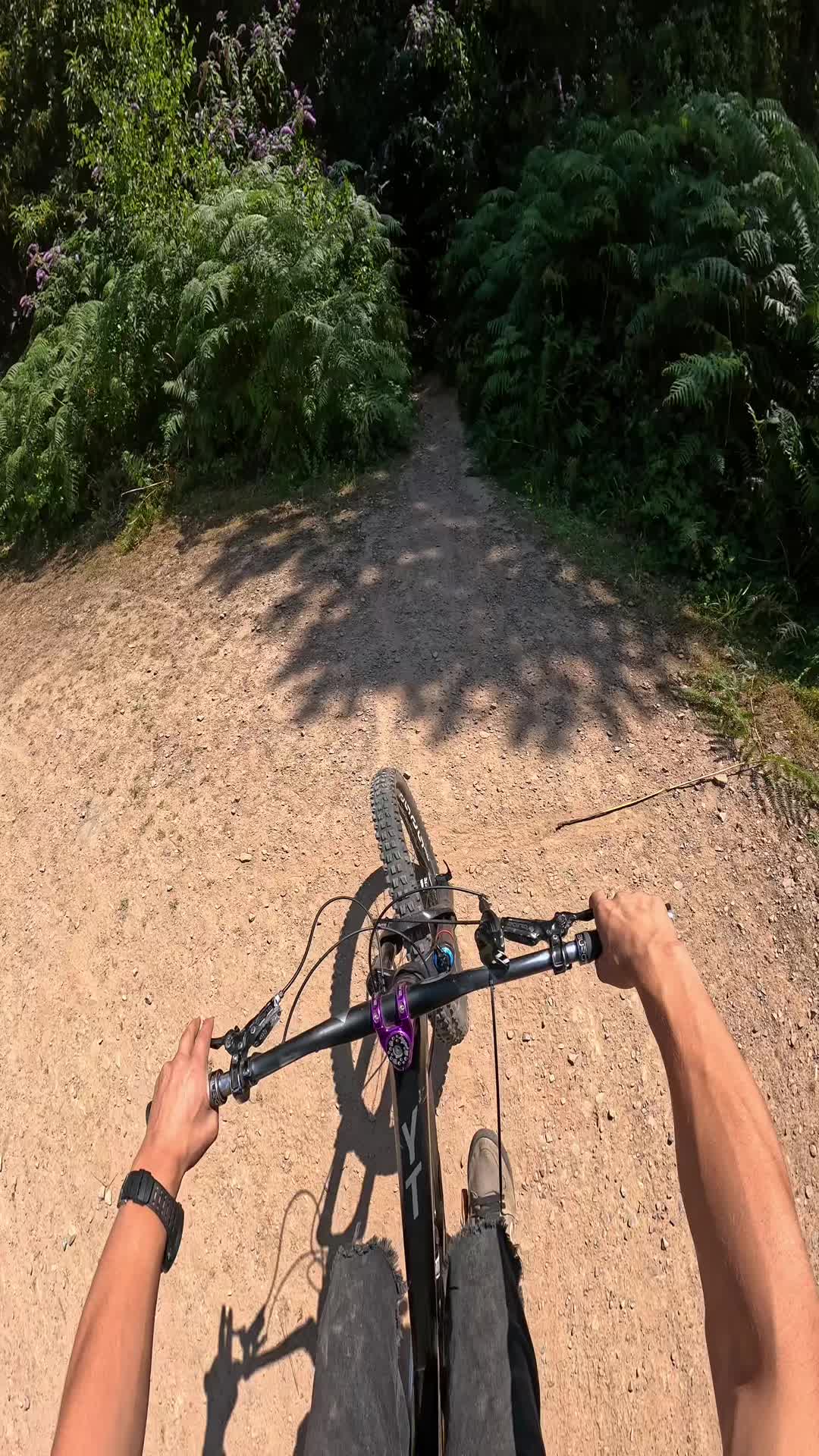 @Elliott_bikes