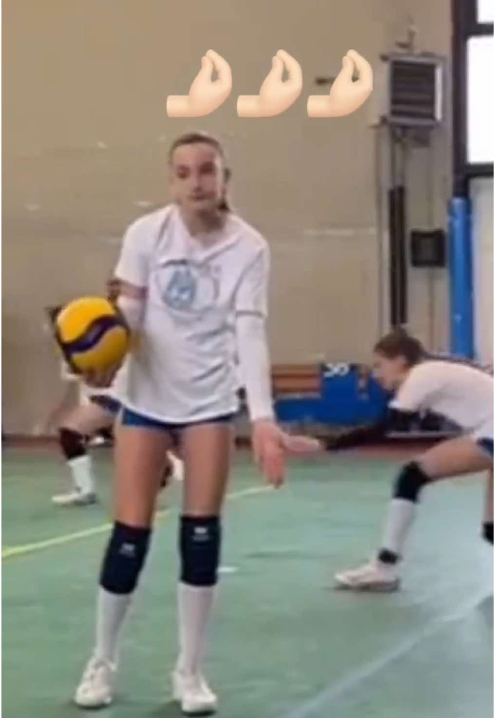 @Majestic Volley