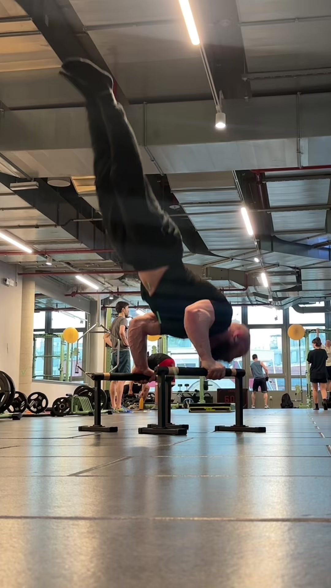 @fredyworkout