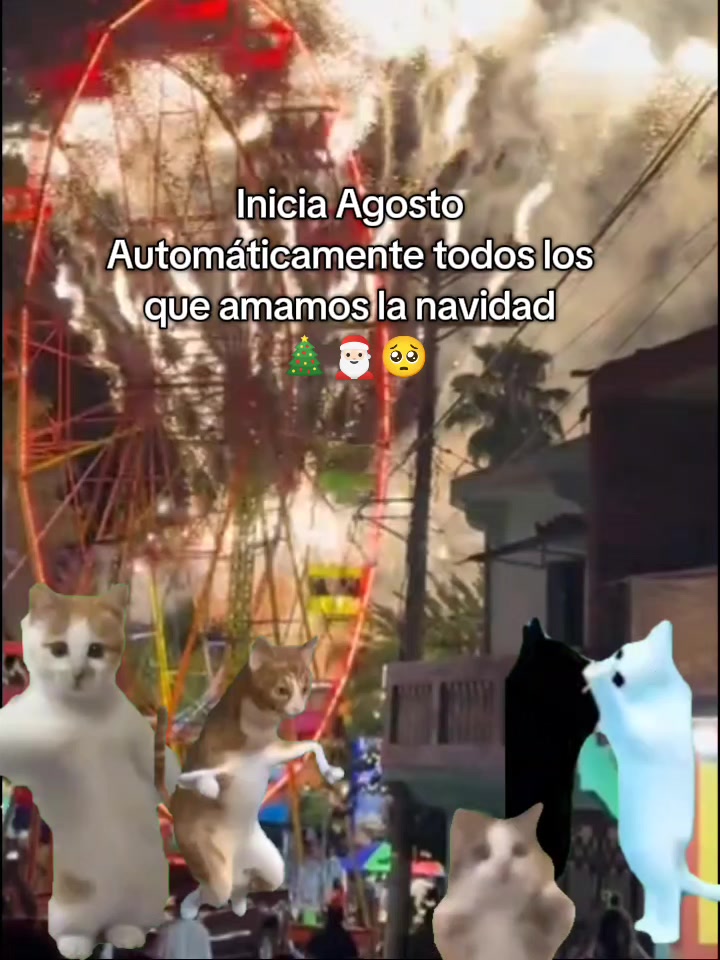 @NAVIDAD❤️🩹 2,026 🎅🏻🎅🏻