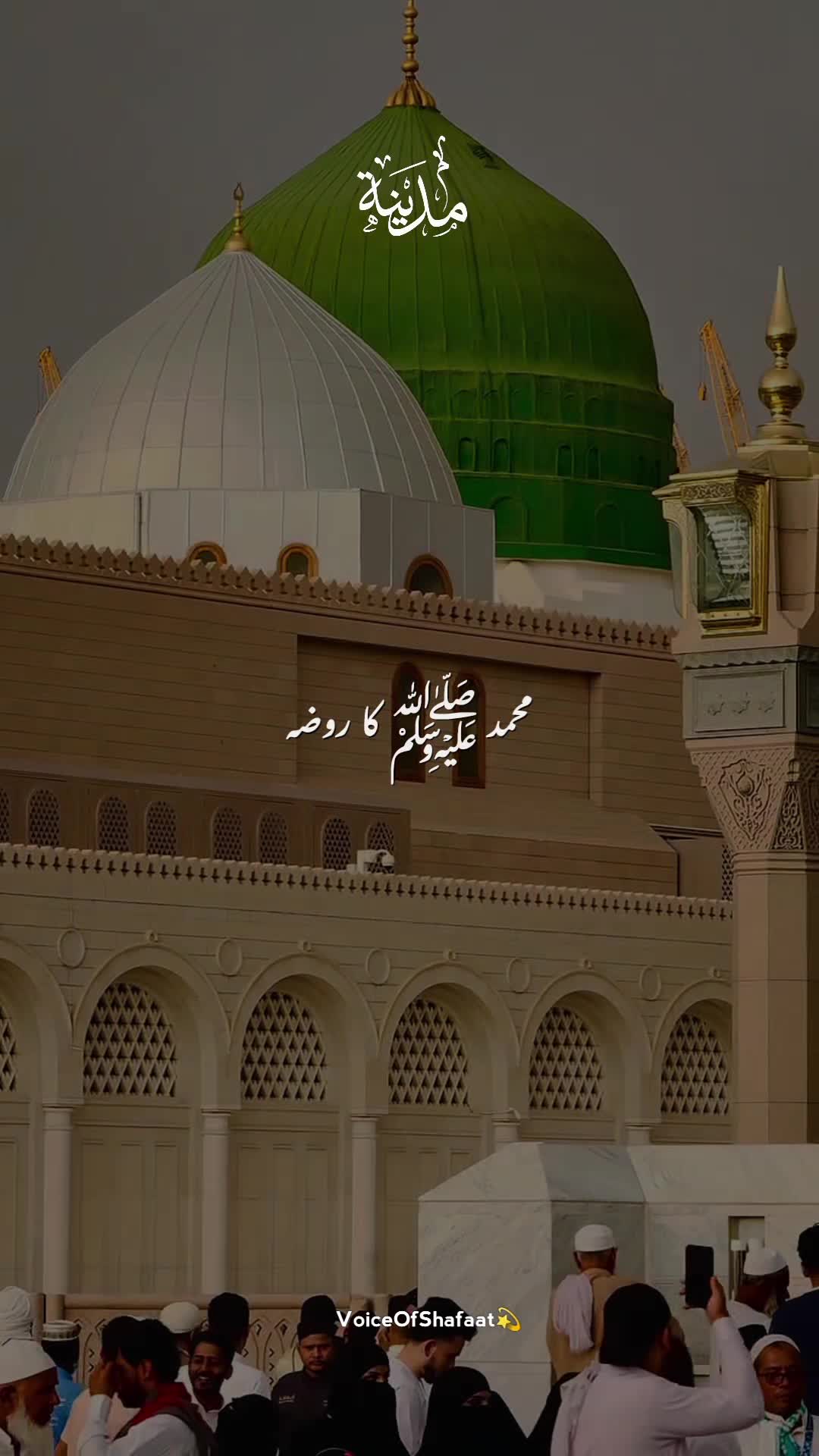 @VoiceOfShafaat💫