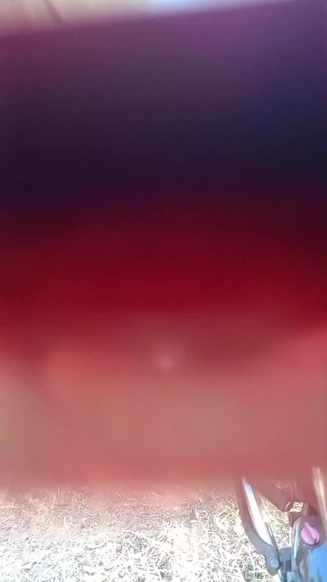 @Mike
