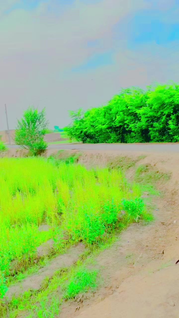 @پنڈاں آلے جٹ