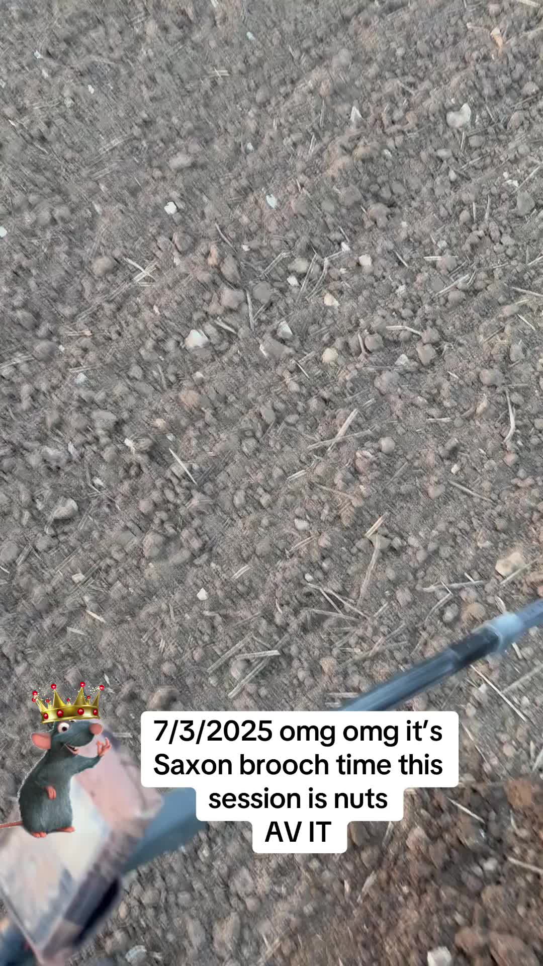 @SirKingRat
