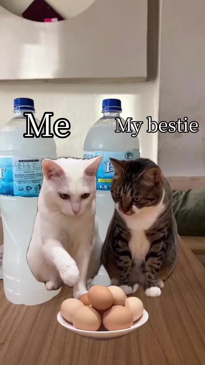 @Oge