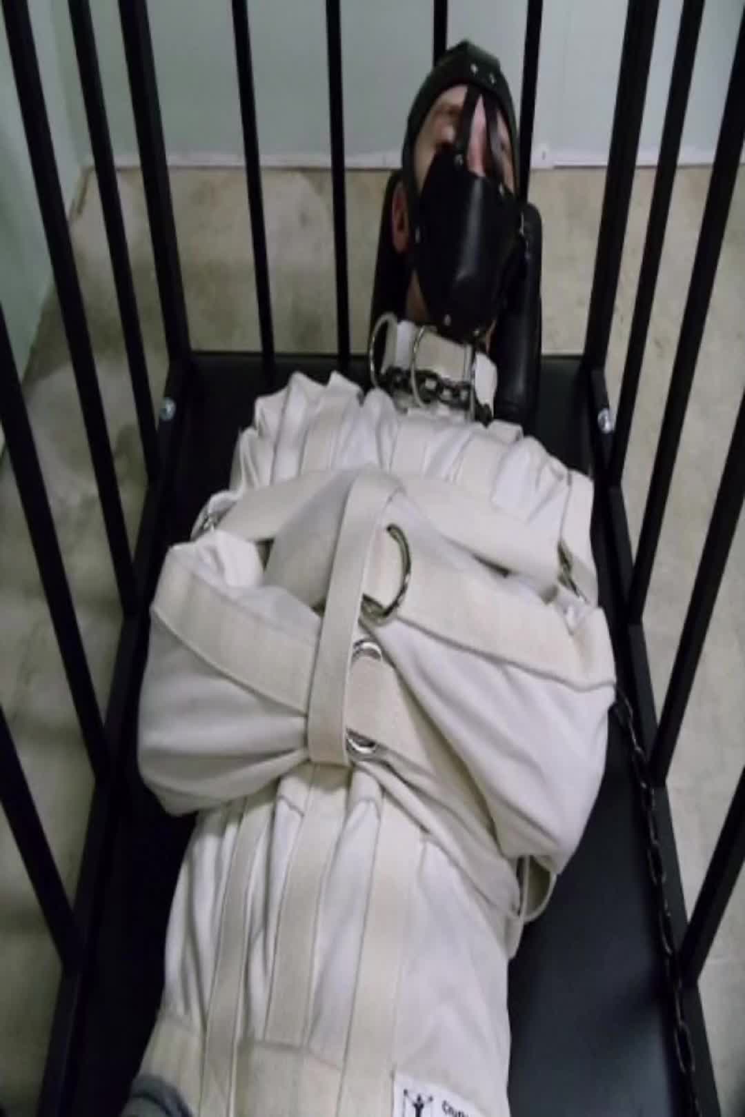 @user18005825100