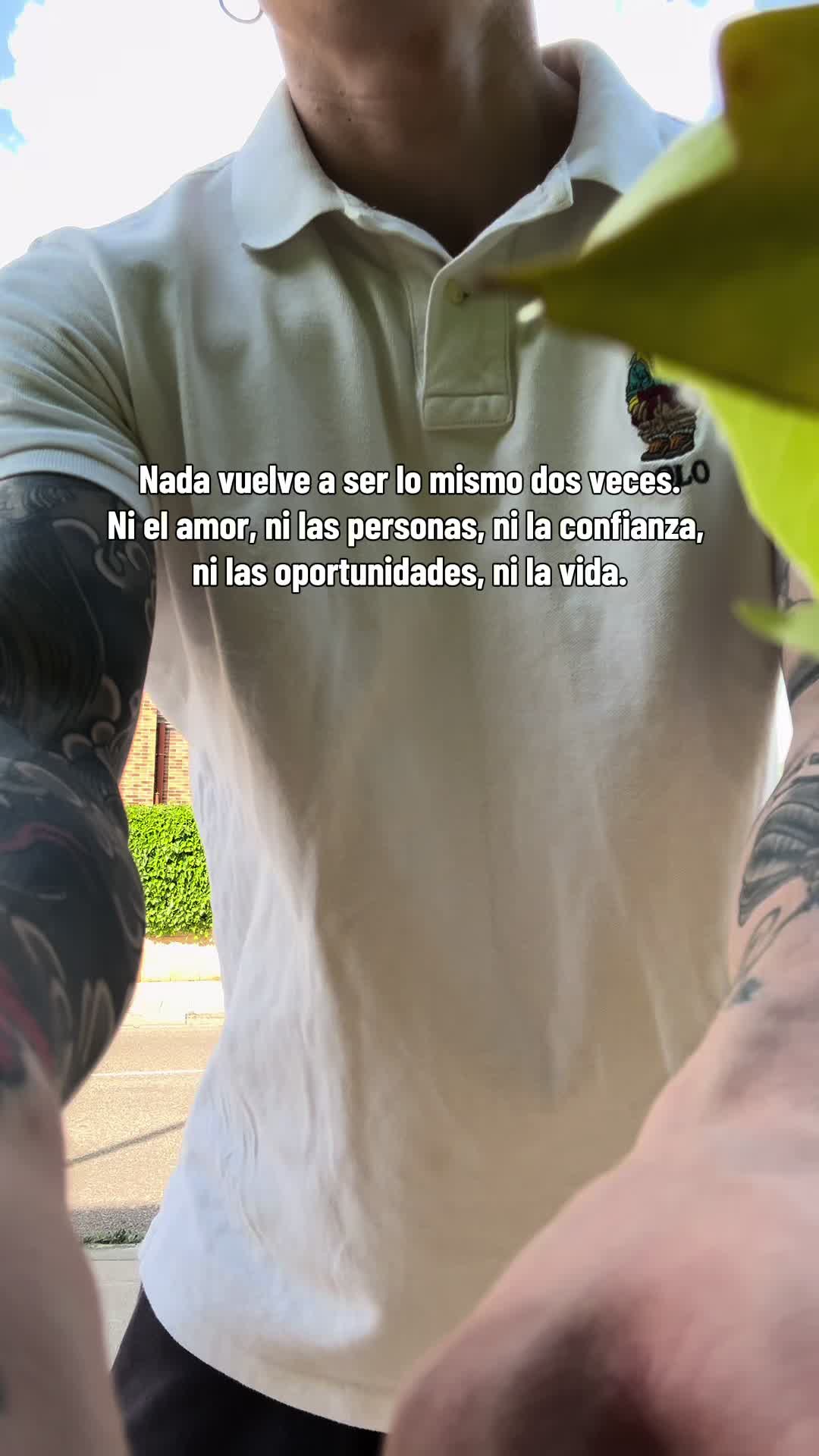 @Manuel Alvarez©️