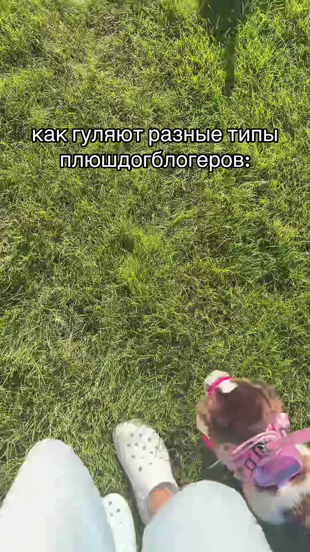 @НИКСА?#ПДБ/PDB ★彡