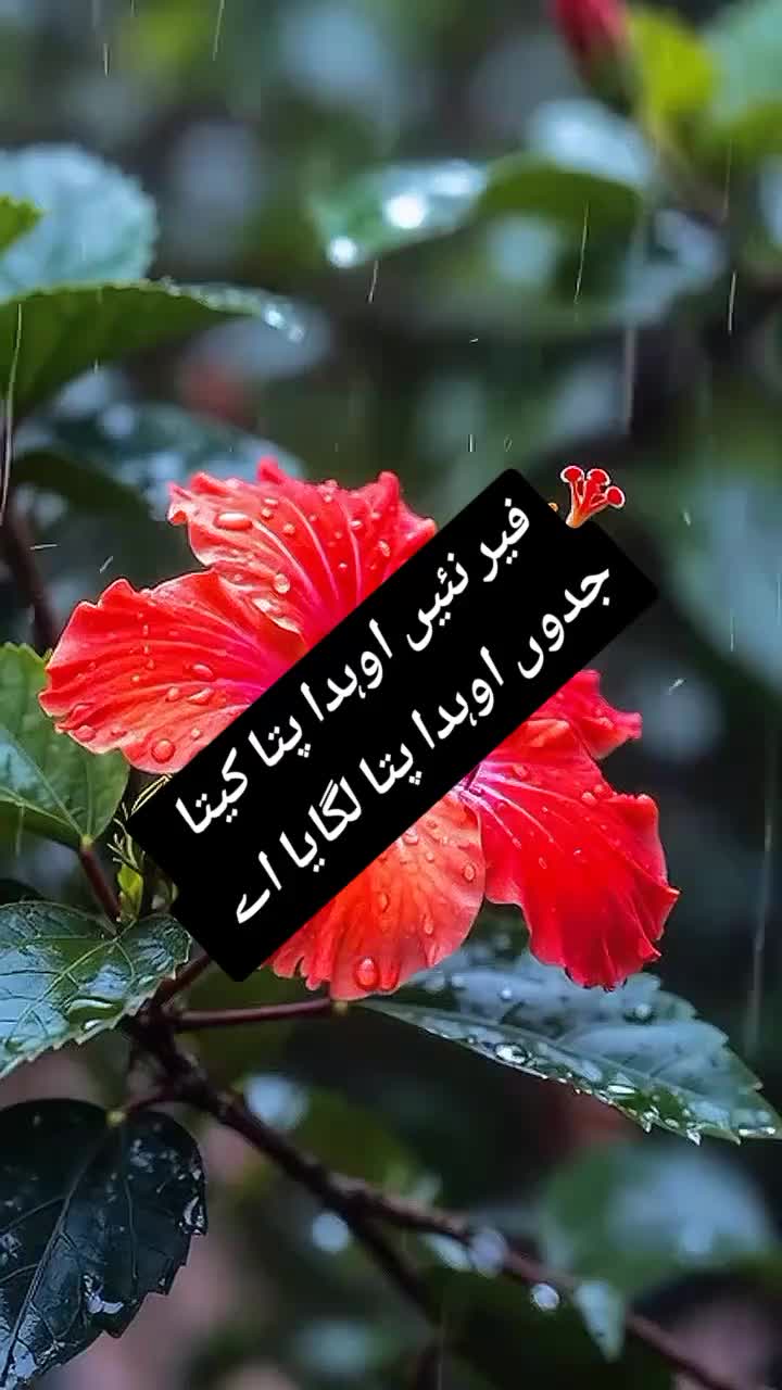 @ishq ibadat