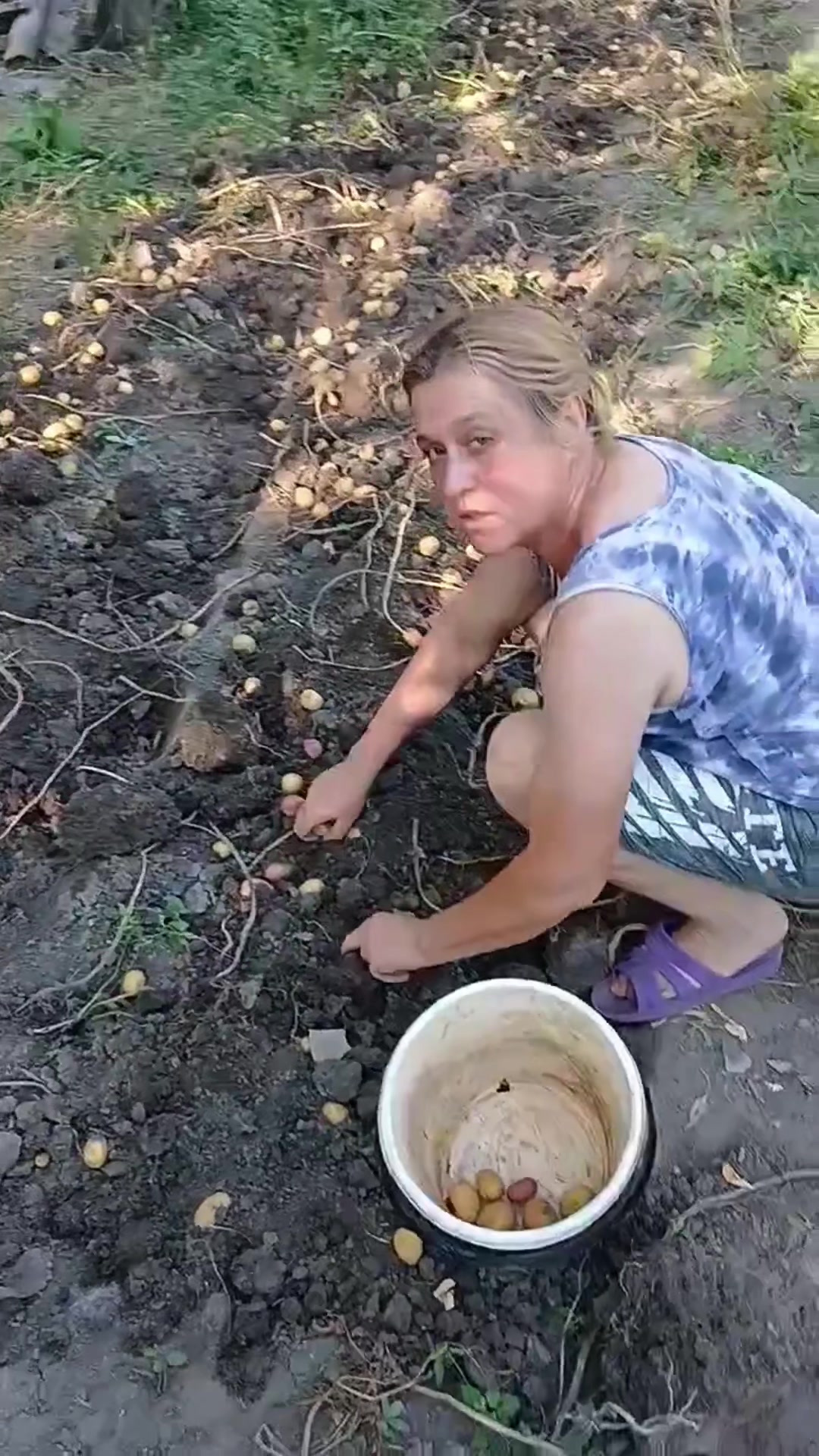 @Семейный Хуторок