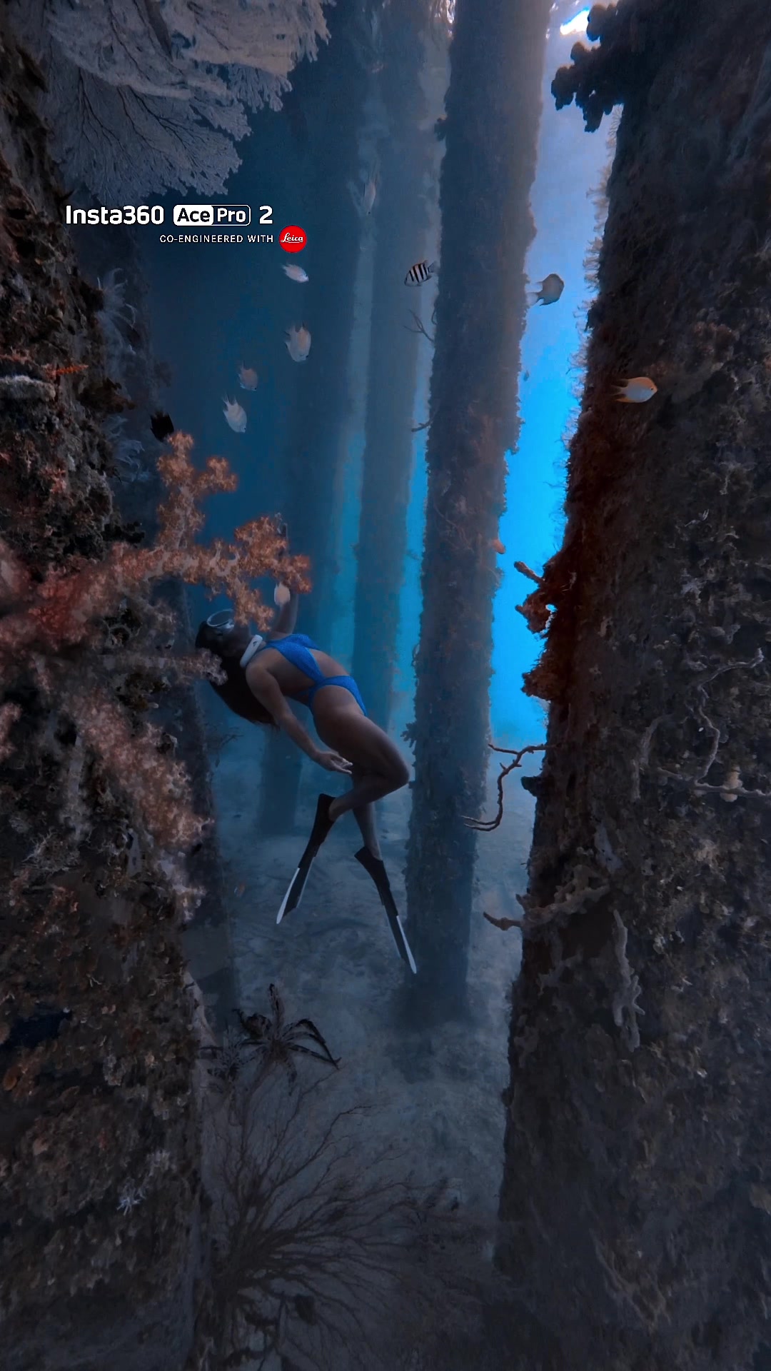 @@voltamazingfreediver