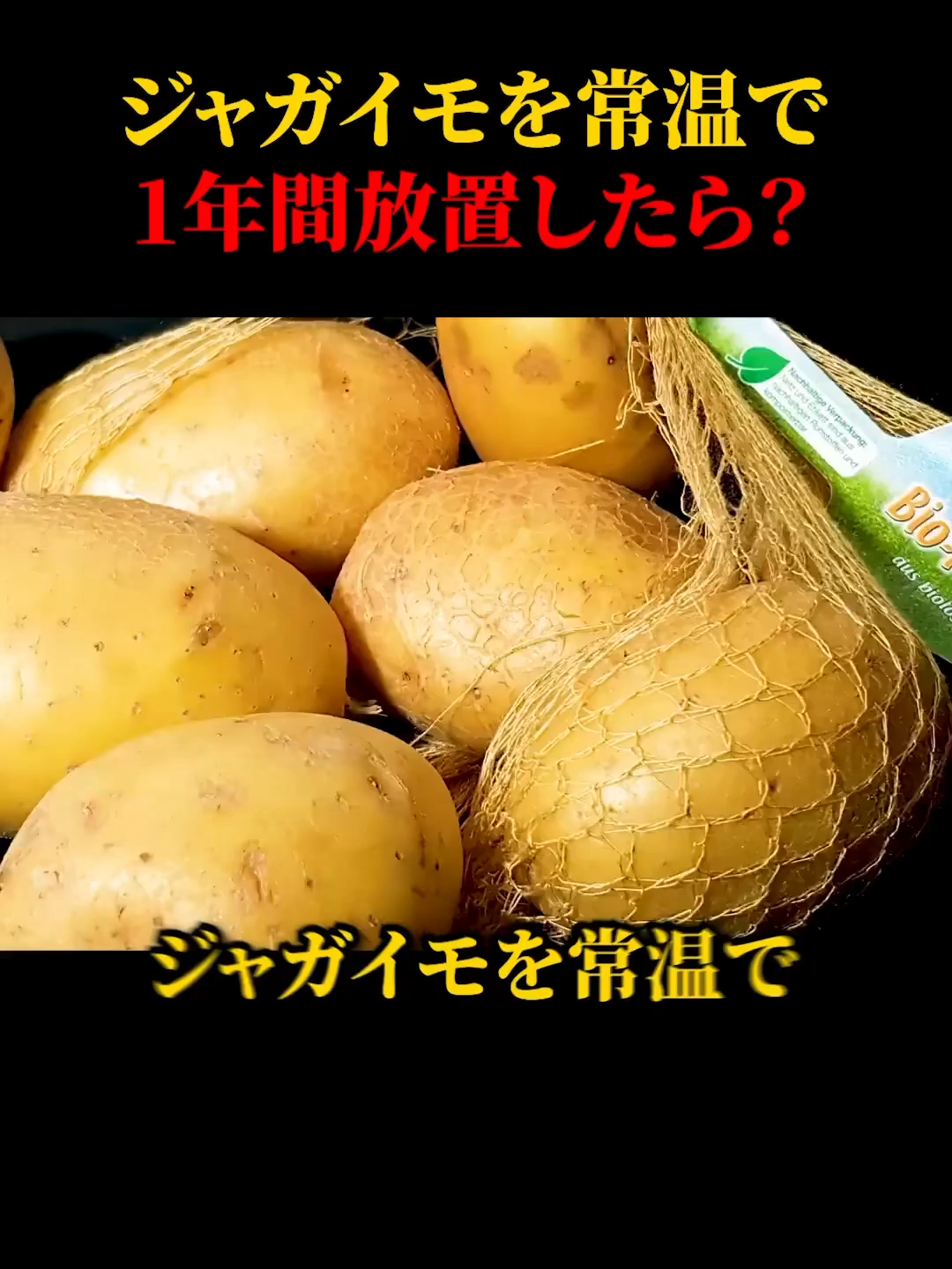 @user5612518338149