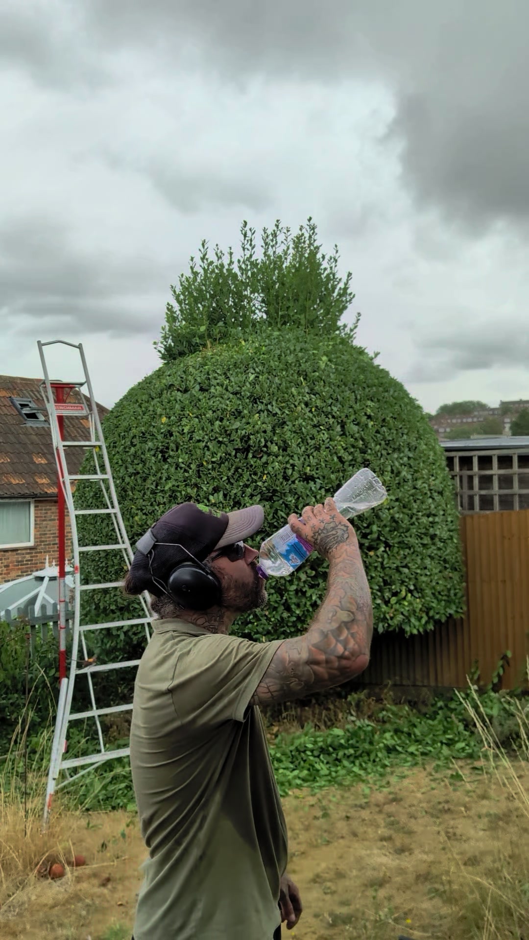 @Gary Hall Garden Services