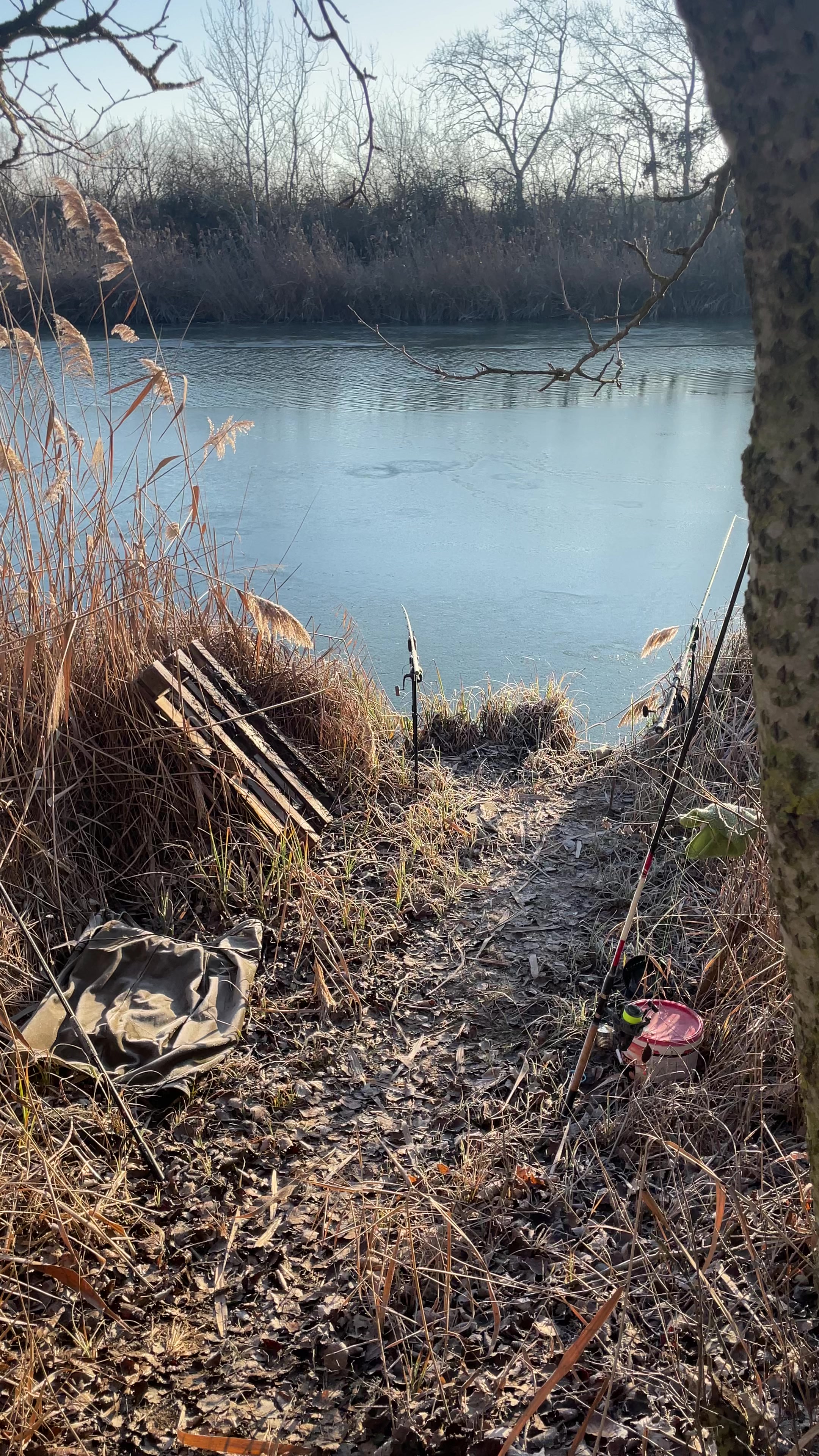 @Galifamili.carpteam