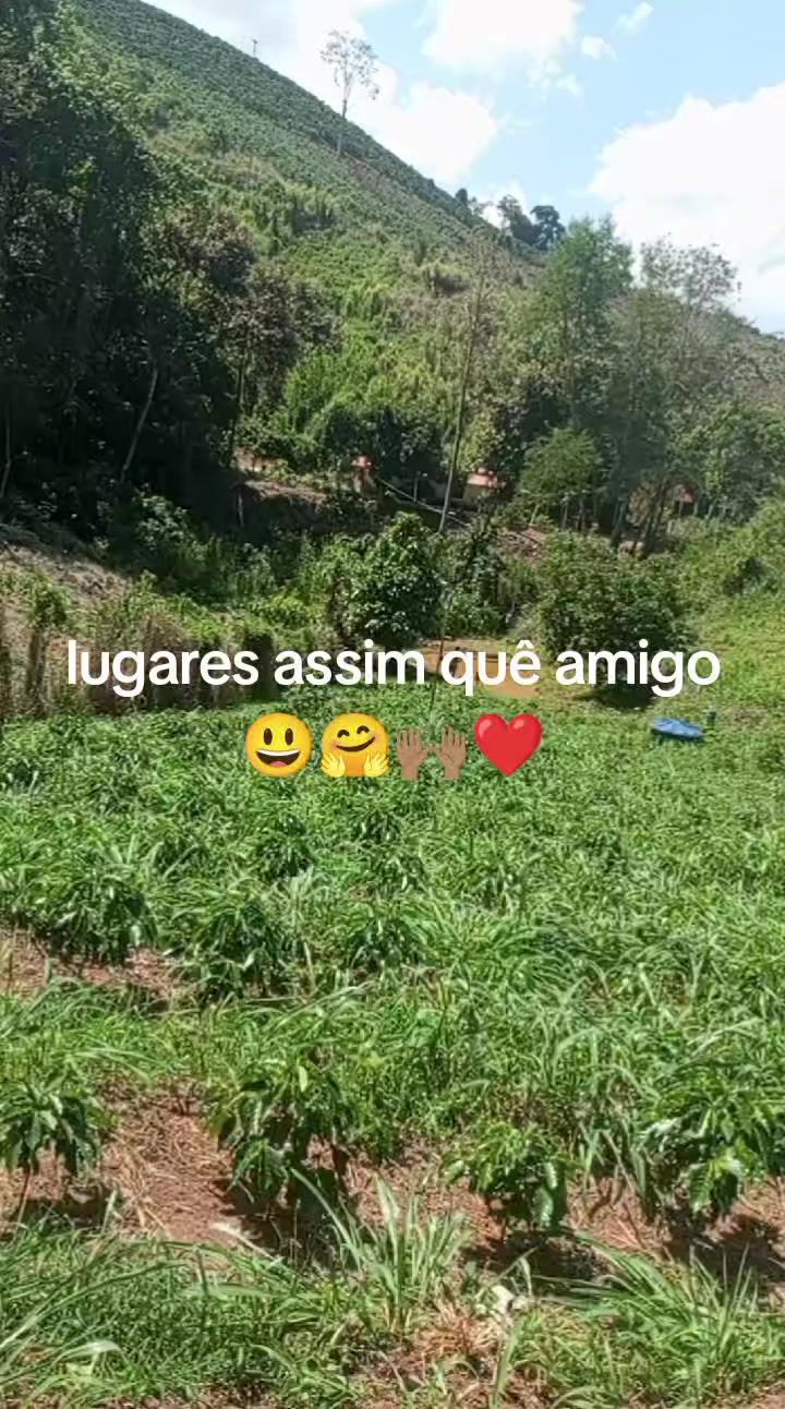 @MÁRCIA CELFES 🤗🏵️❤️